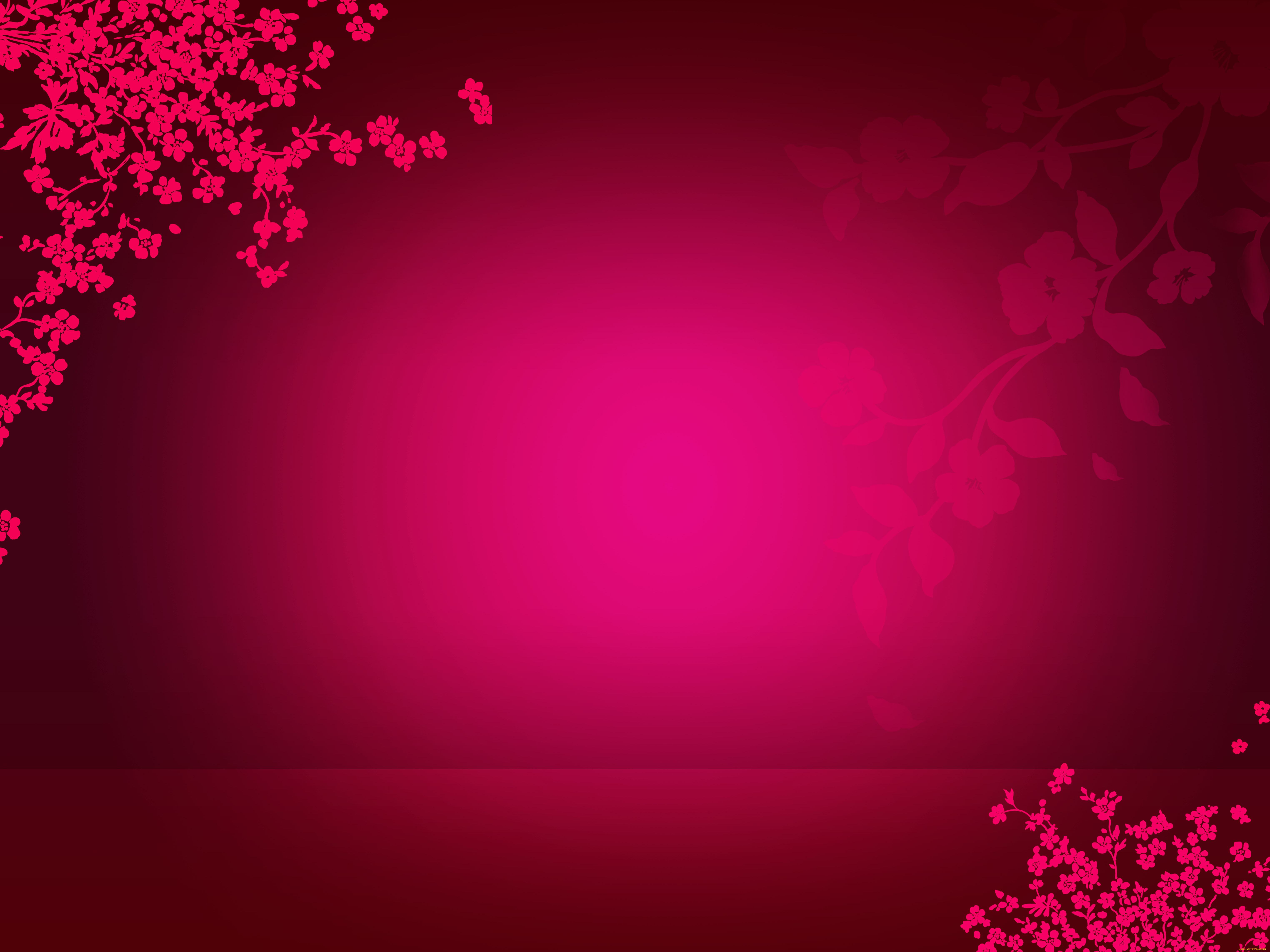  ,  , flowers, , 